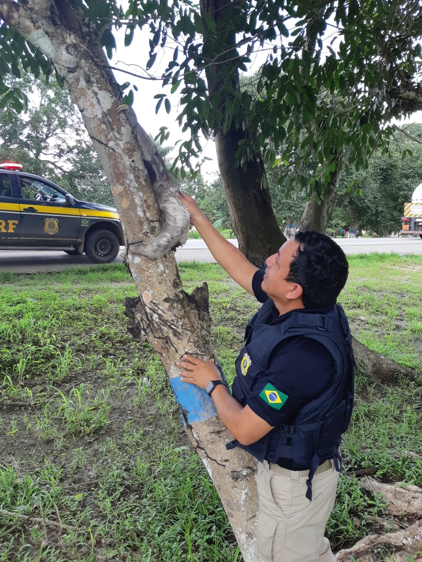 Foto: Divulgação/PRF-MA.