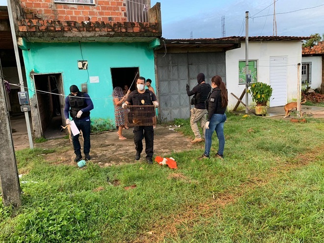 Foto: Polícia Civil