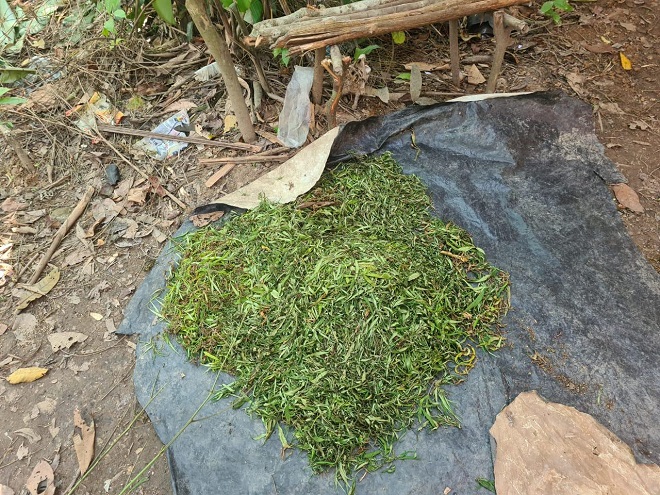 Imagem: Divulgação PF