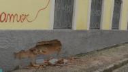 Caminhão desgovernado atinge carros e imóvel no Centro de São Luís