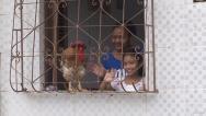 Mulher que cria galo como animal de estimação em São Luís; confira
