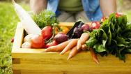 Projeto sugere alterar norma que rege Conselho de Segurança Alimentar