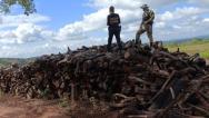 PF deflagra operação de combate ao desmatamento ilegal no MA
