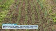 Governo do MA lança programa que beneficia agricultores familiares 