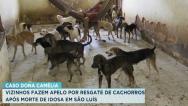 Vizinhos fazem apelo por resgate de cães após morte de idosa