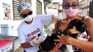 Prefeitura de São Luís segue com vacinação antirrábica de cães e gatos