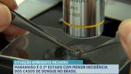 Maranhão é o 2°Estado do país com menor incidência dos casos de dengue