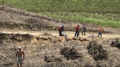 Maranhão é um dos maiores fornecedores de mão de obra escrava