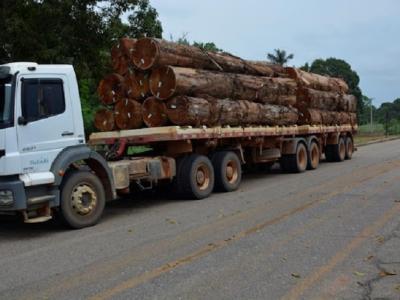 Justiça obriga Ibama retomar fiscalização nas rodovias maranhenses