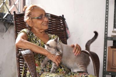 Mulher faz apelo para doação de gatos em São Luís