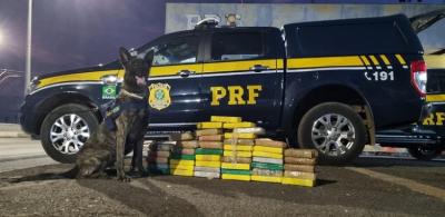 Mais de 46 kg de cocaína são apreendidos na BR- 316 em Timon