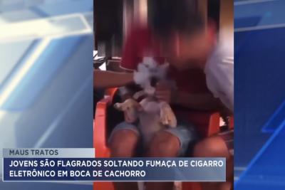 Jovens são flagrados soltando fumaça de cigarro eletrônico em boca de cachorro