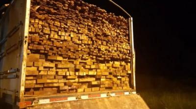 PF investiga servidores do IBAMA por desvio de madeira apreendida