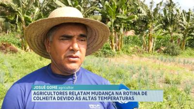Agricultor relata mudança na rotina de colheita devido às altas temperaturas no Estado
