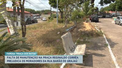  Moradores reclamam de falta de manutenção na Praça Reginaldo Corrêa