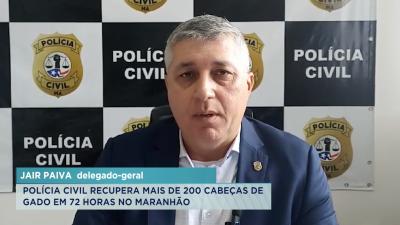 Polícia recupera mais de 200 cabeças de gado subtraídas ilegalmente por quadrilha no MA