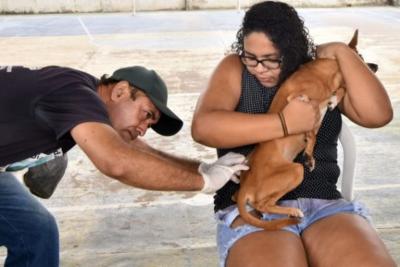  Itaqui-Bacanga e Vila Esperança recebem campanha de vacinação animal no sábado (25)