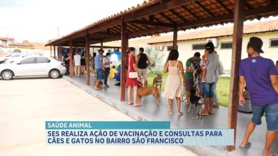  Bairro São Francisco recebe ação Cuidar de Todos Saúde Animal no fim de semana
